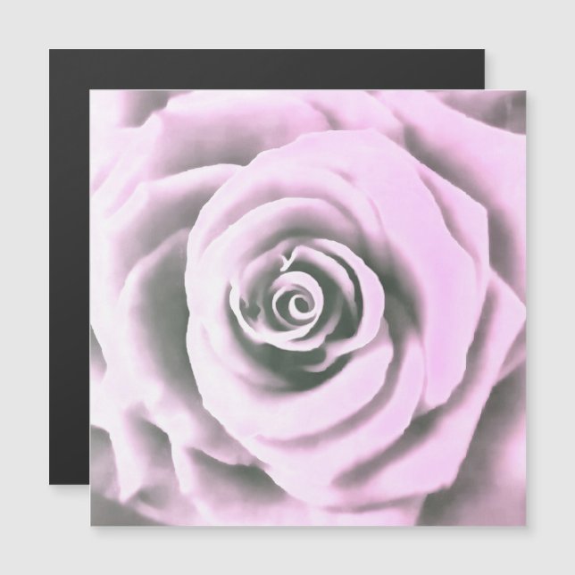 Carte Magnétique Artistic Rose rose rb (Devant / Derrière)