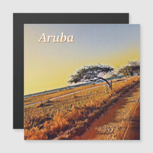 Carte Magnétique Aruba Divi Divi Trees