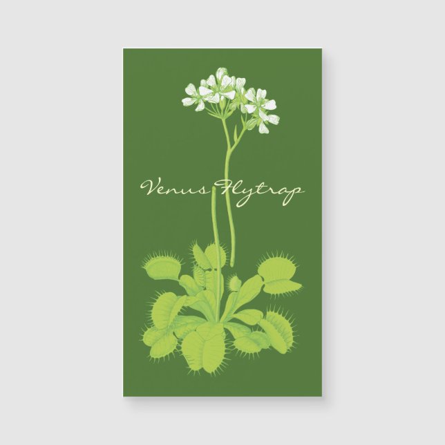Carte Magnétique Attrape-mouche de Vénus carnivore (Devant)