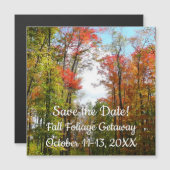 Carte Magnétique Automnes Arbres et Ciel bleu Automne Photographie (Devant / Derrière)