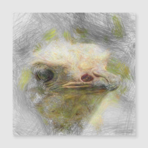 Carte Magnétique autruche