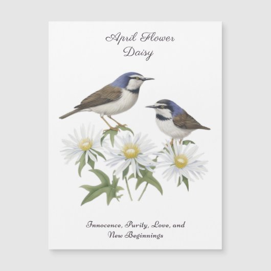 Carte Magnétique Avril Mois de naissance Fleur Daisy Chéri Annivers (Devant)