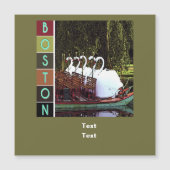 Carte Magnétique Bateaux à cygne en été - Boston (Devant)