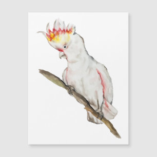 Carte Magnétique Beau dessin à la main de perroquet de cockatoo aqu