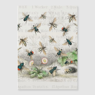 Carte Magnétique Bee Honey Travailleur Queen Bees Antique