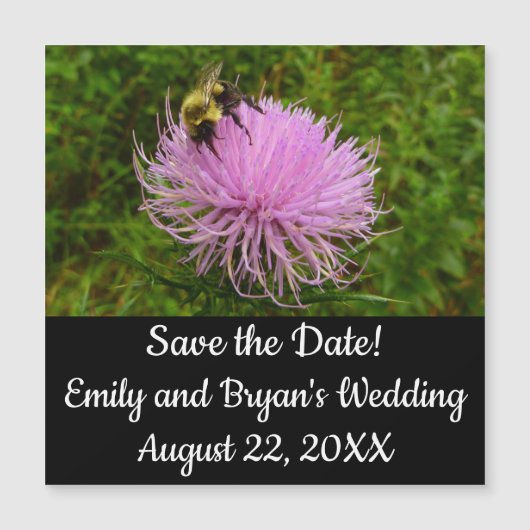 Carte Magnétique Bee on Thistle Flower Nature (Devant)