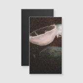 Carte Magnétique Belle méduse (Devant / Derrière)