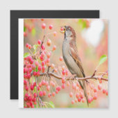 Carte Magnétique Berries de printemps pour manger des oiseaux (Devant / Derrière)