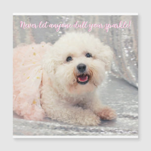 Carte Magnétique Bichon Frise Ballerina Noël Vibes positives
