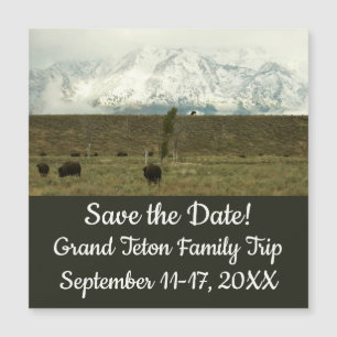 Carte Magnétique Bison à Grand Teton National Park Photographie