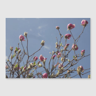 Carte Magnétique Bourgeons roses de magnolia