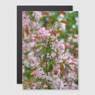 Carte Magnétique Branche délicate avec fleurs pommier