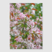 Carte Magnétique Branche délicate avec fleurs pommier (Devant)