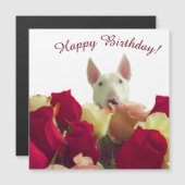 Carte Magnétique Bull terrier avec rose - Joyeux anniversaire! (Devant / Derrière)
