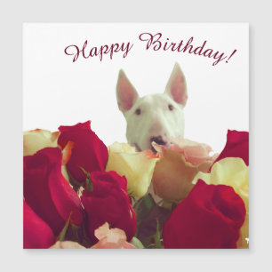 Carte Magnétique Bull terrier avec rose - Joyeux anniversaire!