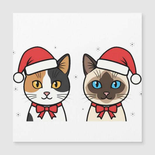 Carte Magnétique Cadeaux de fête & Distractions de fête (Devant)