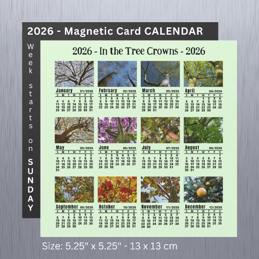 Carte Magnétique Calendrier de l'arbre photo personnalisé 2026 Débu