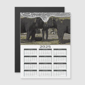 Carte Magnétique Calendrier Elephant Eyes 2025 (Devant / Derrière)