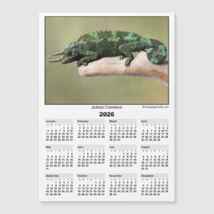 Carte Magnétique Calendrier magnétique 5x7 2026 Caméléon de Jackson