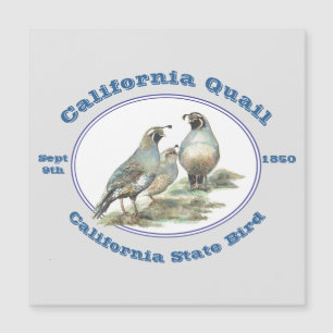 Carte Magnétique Californie Quail California State Bird Aquarelle
