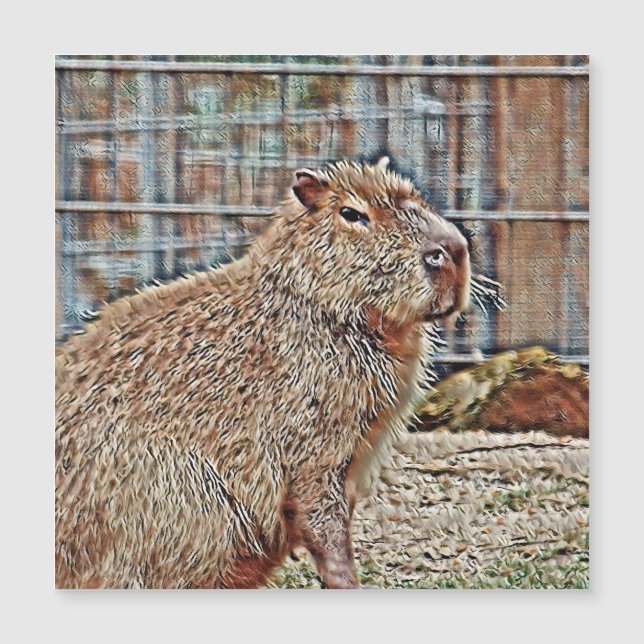 Carte Magnétique Capybara (Devant)