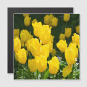 Carte Magnétique Champ de tulipes jaune vif (Devant / Derrière)