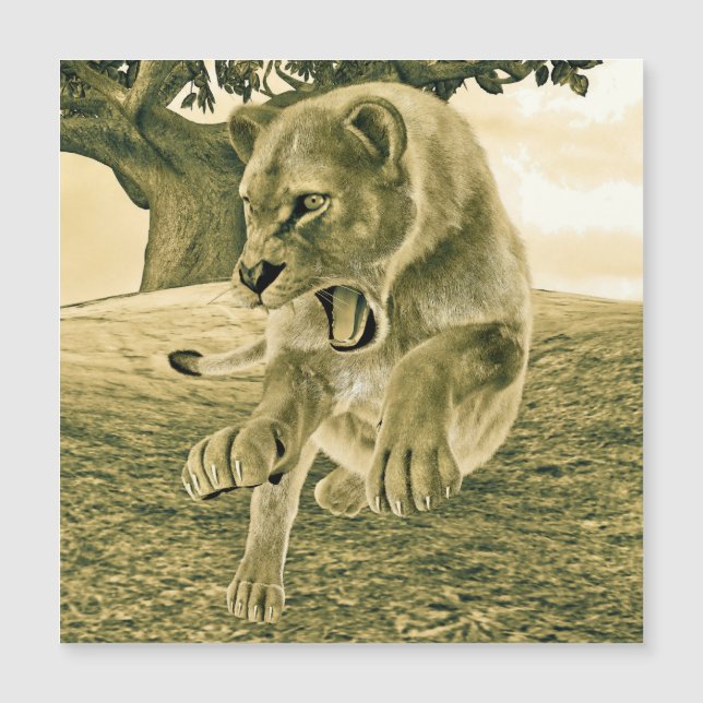 Carte Magnétique Chasse à la lionne (Devant)