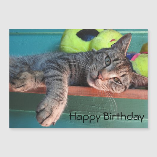 Carte Magnétique Chat Love Joyeux anniversaire (Devant)