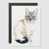Carte magnétique Chat Siamese Lynx Point (Devant / Derrière)