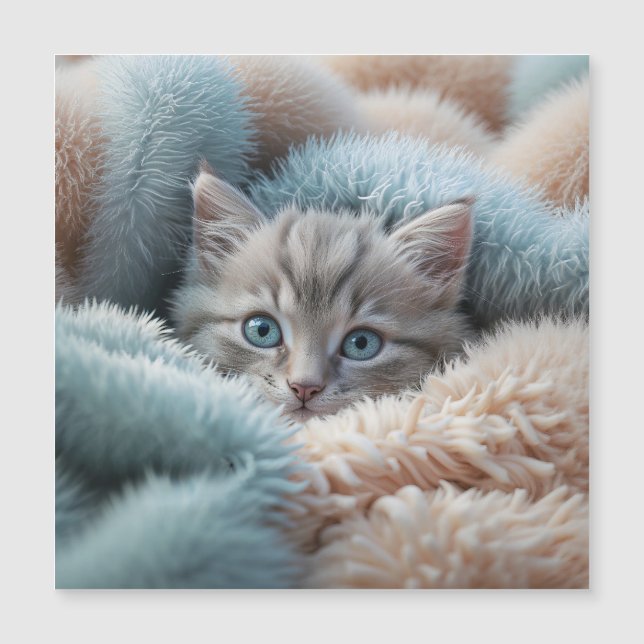 Carte Magnétique Chaton duveteux dans une couverture douce (Devant)