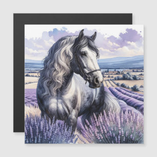Carte Magnétique Cheval gris joli debout en Lavender