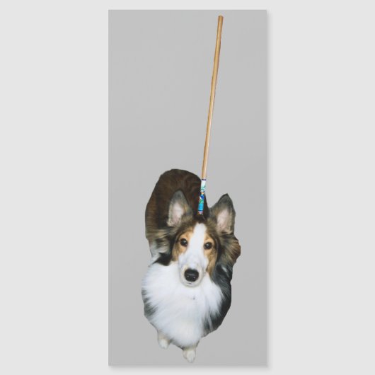 Carte Magnétique Chien à la broche (Devant)