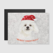 Carte Magnétique Chiot maltais de Noël congelé (Devant / Derrière)