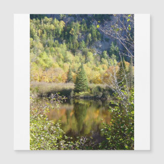 Carte Magnétique Christmas Tree holiday card, magnetic card