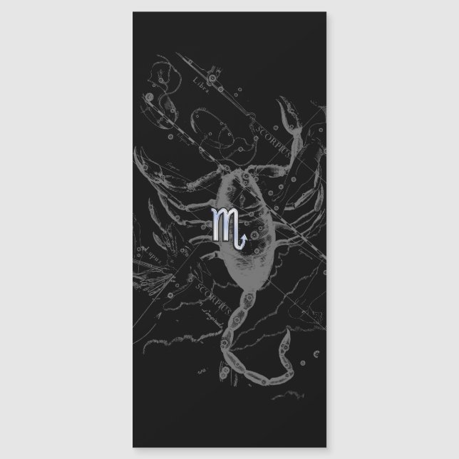 Carte Magnétique Chrome Style Scorpio Zodiac Connexion Hevelius (Devant)