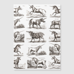Carte Magnétique Classique Unicorne Antique Mythique Magie Créature