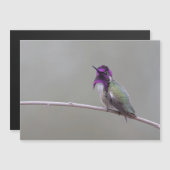 Carte Magnétique Colibri de Costa (Devant / Derrière)