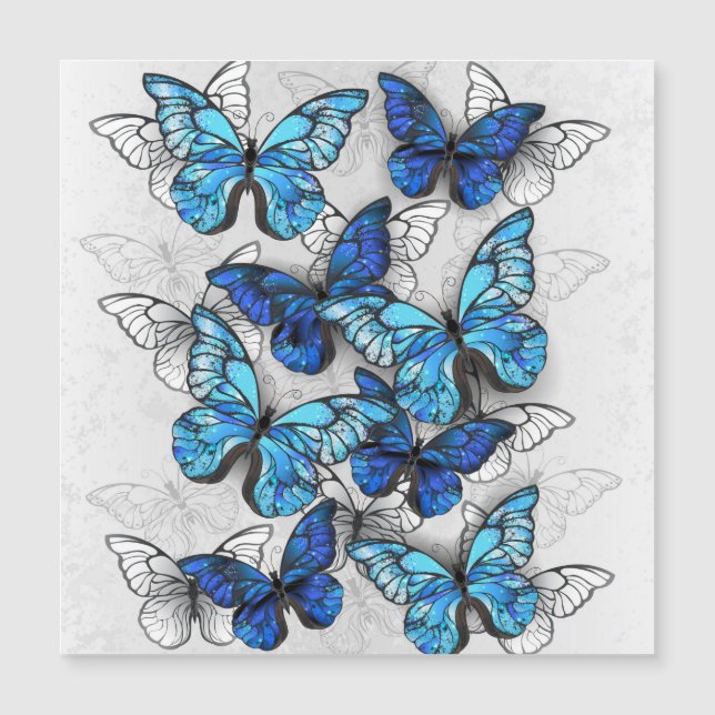 Carte Magnétique Composition des White and Blue Butterflies (Devant)