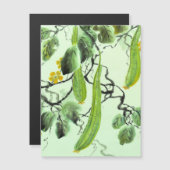 Carte Magnétique Concombre chinois (Devant / Derrière)