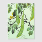 Carte Magnétique Concombre chinois (Devant)