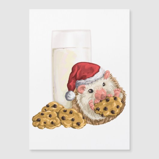 Carte Magnétique Cookie de Noël (Devant)