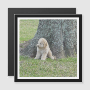 Carte Magnétique Créez votre propre aimant photo Carré noir et blan