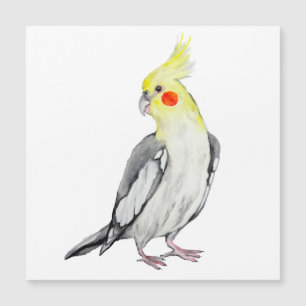 Carte Magnétique Cute Cockatiel Aquarelle Parrot.