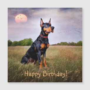 Carte magnétique d'anniversaire Doberman Pinscher