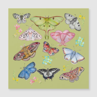 Carte Magnétique Danse papillon à l'aquarelle douce