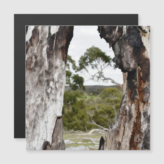 Carte magnétique de la fenêtre de la nature (Devant / Derrière)