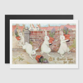 Carte Magnétique De mignons lapins de Pâques à la recherche de Hyac (Devant / Derrière)