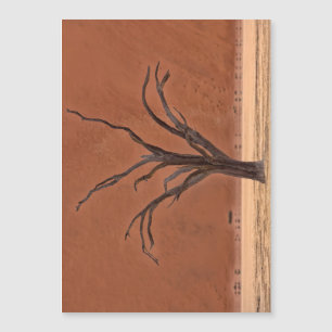 Carte Magnétique Dead Vlei, Namibie