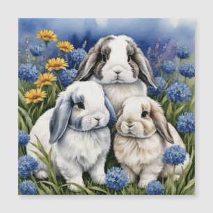 Carte magnétique des lapins de lapins de lapin à t