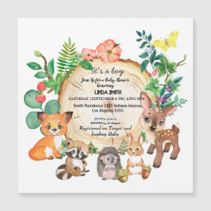 Carte Magnétique Des livres pour enfants sur la forêt et les plante